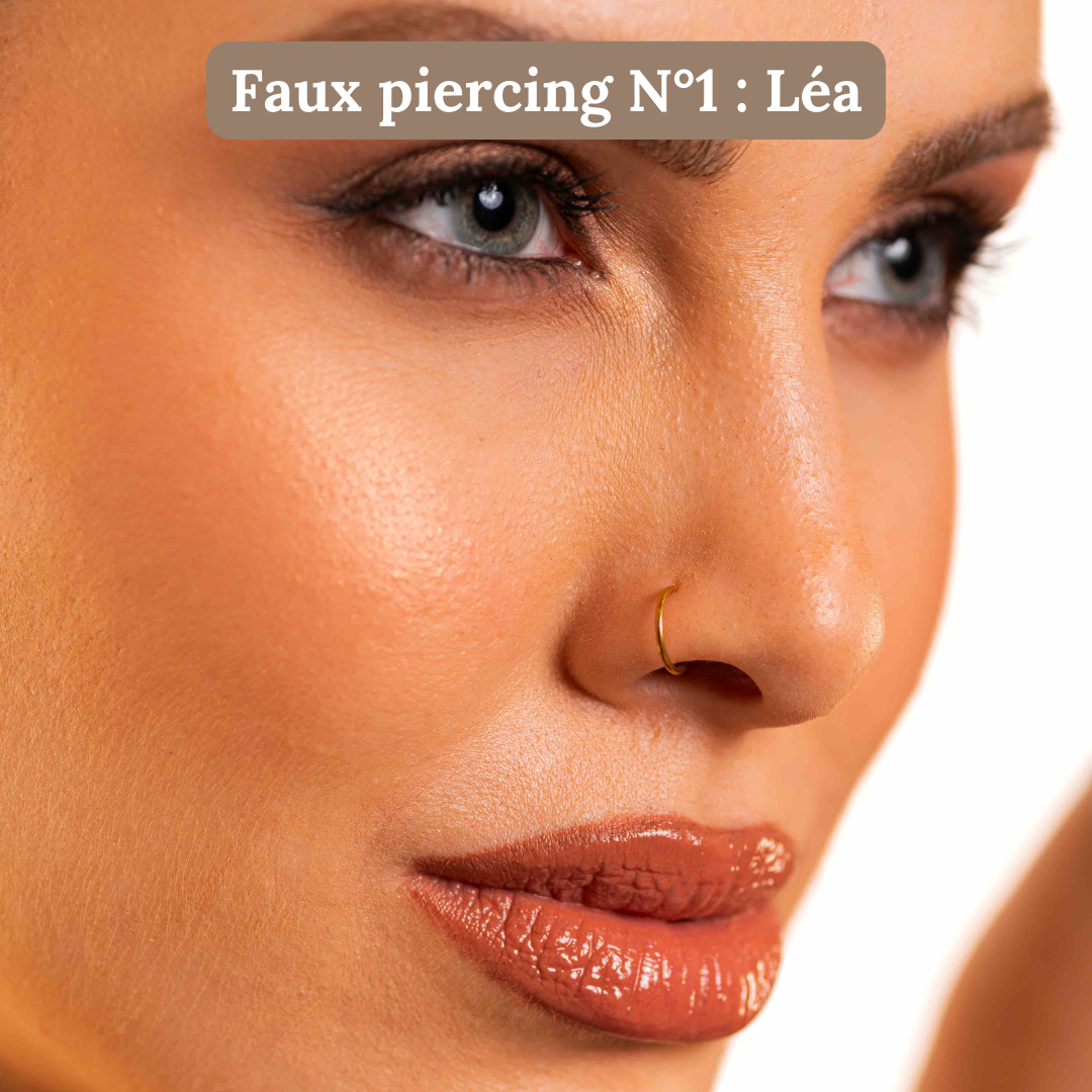 Gift box: 4 fake nose piercings