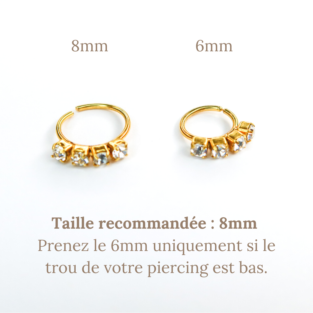 Plane 2025 nose ring