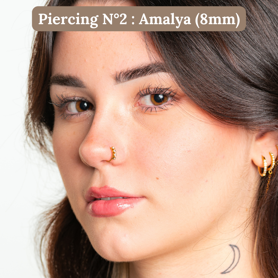 THE ESSENTIALS PACK: 4 nose piercings 