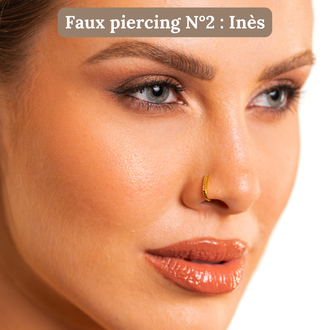 Gift box: 4 fake nose piercings