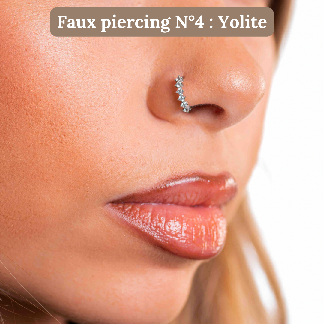 Gift box: 4 fake nose piercings